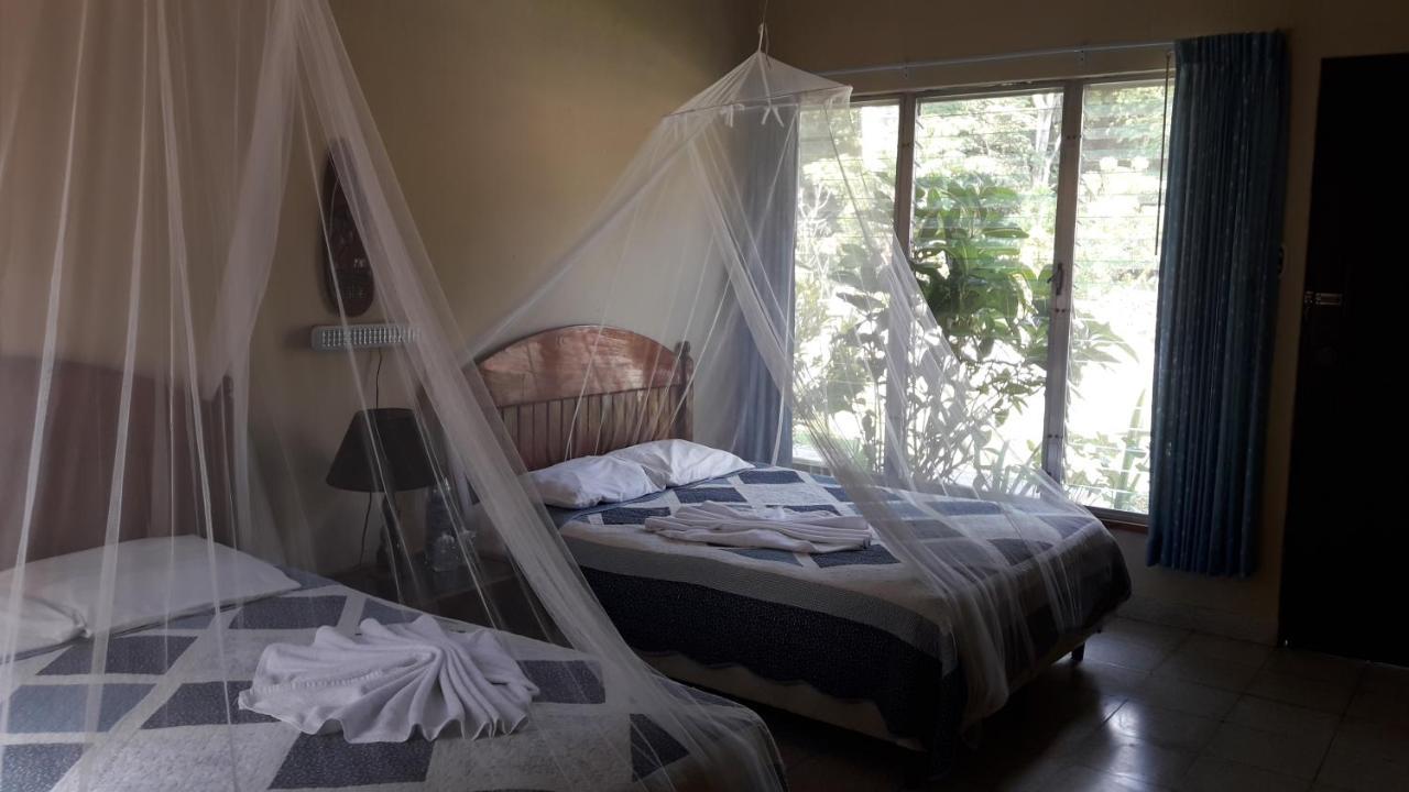 Hotel Tikal Inn Extérieur photo