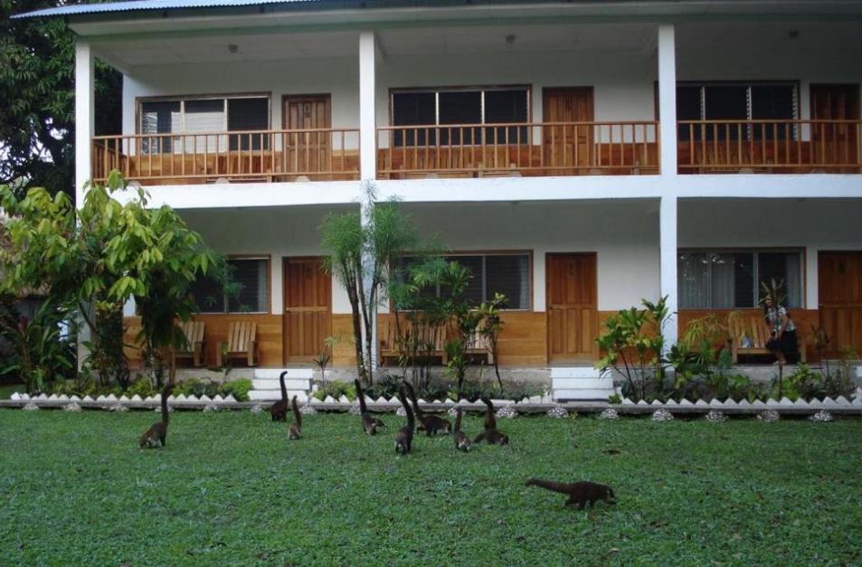 Hotel Tikal Inn Extérieur photo